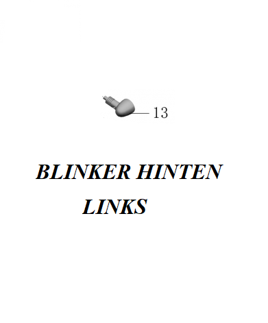 BLINKER HINTEN LINKS MASH